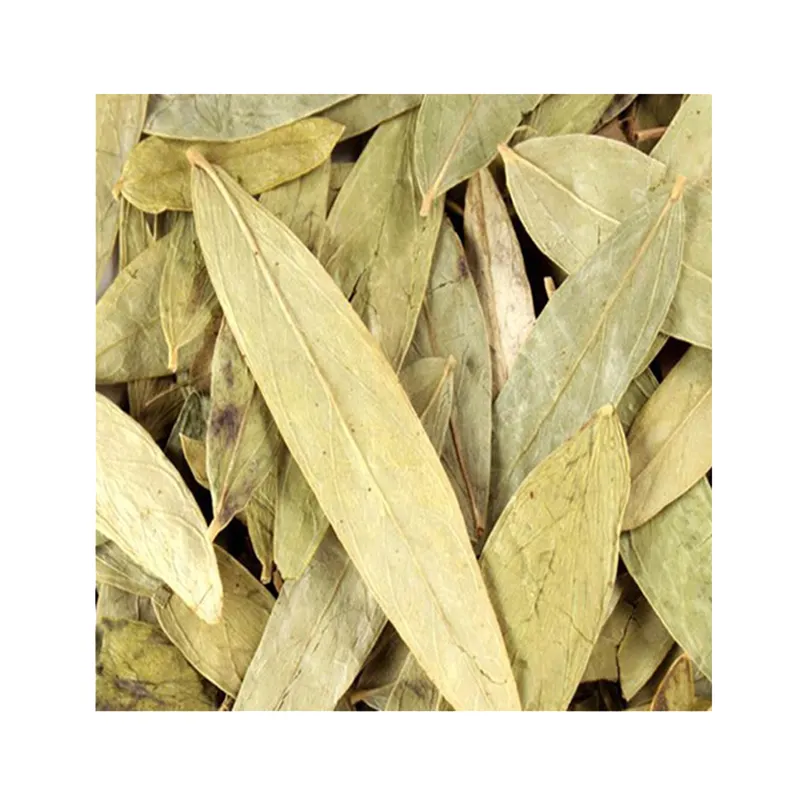 Senna Prime 5 Leaves Helps Good Digestion 100% Herbal Natural Product Indian Manufacturer Wholesaler