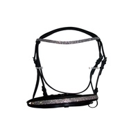 Halters élégants en cuir de cheval avec de nouvelles brides de conception pour les amateurs de chevaux et les amateurs d'équitation