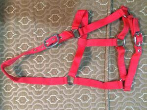 English & Western Saddle Horse Rope Halter Nylon Material with PP & Leather Divers styles de bride disponibles - Product Image 2