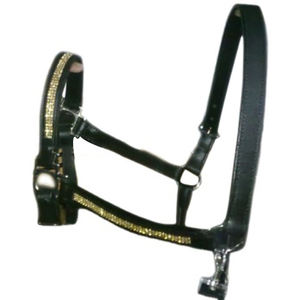 VENDRE Bling Golden LEATHER Halter pour CHEVAL SADDLERY IN;dollar 6 tailles plein cob Shetland - Product Image 1