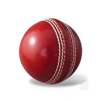 Meilleure balle de cricket légère en cuir anglais, équipement sportif
