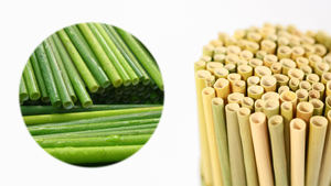 Pailles naturelles à base d'herbe biodégradables jetables, ml, pour boire seul au Vietnam - Product Image 2