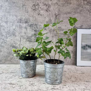 Ensemble de 2 mini-bacs à fleurs en métal galvanisé, pots à fleurs rustiques pour table, pour événements et kits de décoration - Product Image 2