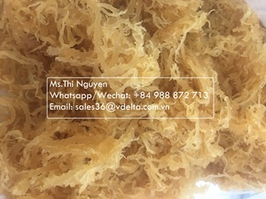 Meilleur prix pour la confiture d'algues marines / les gommes d'algues marines / les bonbons d'algues marines du Vietnam (Mme Thi Nguyen +84 988 872 713) - Product Image 5