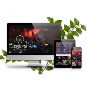 Music eCommerce Website design & Development Company in India | Award Winning eCommerce Website Development Services by Webroot - Product Image 2