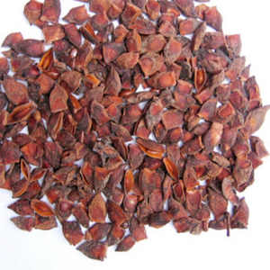 Anís Estrellado Seco AD Crudo - Product Image 1