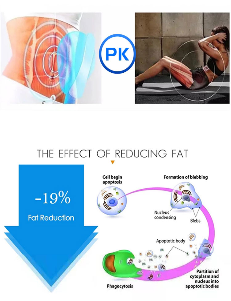 13 Tesla High Frequency Ems Slimming Device Ce Approved