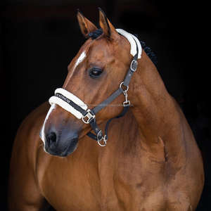 Harnais rembourré en fourrure de vison douce, sangle en nylon écologique durable de qualité supérieure, avec couleur personnalisée, fabricant en Inde - Product Image 2