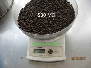 พริกไทยดำเวียดนามขายดี 500 กรัม เกรด ASTA คุณภาพพรีเมียม คัดแยกด้วยเครื่องจักร พริกไทยธรรมชาติ สำหรับส่งออกขายส่ง - Product Image 5