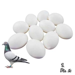 Fiyfly 10 œufs artificiels en plastique blanc pour cages et niches d'oiseaux - Product Image 2