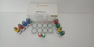 Bộ Kiểm Tra Thương Hàn Rộng Febrile Kháng Nguyên Thử Nghiệm Bộ Dụng Cụ Xuất Khẩu - Product Image 3