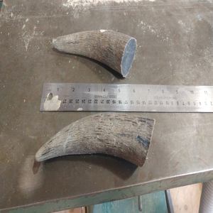 Punta de Cuerno de Búfalo Natural Ecológica NOORBABA INTERNATIONAL con Forma Natural - Decoración del Hogar y Obra de Arte Coleccionable - Product Image 1