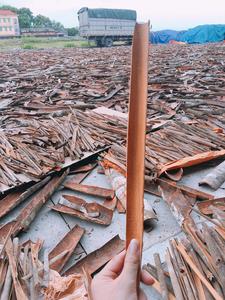 เวียดนามแยกอบเชยกับรสเผ็ด-อบเชยขายส่งจากเวียดนาม-Phalco เวียดนาม - Product Image 5