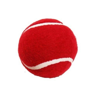 Ensemble de 6 balles de tennis en caoutchouc rouge de la marque HRM avec logo personnalisé, couleurs et tailles personnalisées pour le jeu en plein air pour adultes et enfants