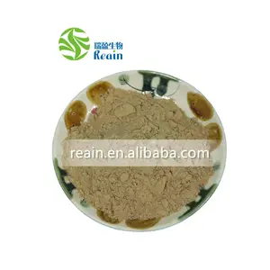 Kruid Extract Formule Poeder Maca Extract Epimedium Extract