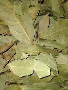 Épices et herbes séchées de qualité supérieure, goût naturel, type de traitement brut, Laura Leaves - Product Image 3