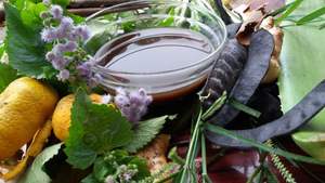 Entrega rápida de langosta seca de Grado Superior Sra. Angela - Product Image 4