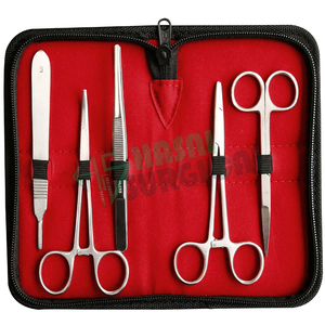 Hot Sales CE ISO Approved Manual Dentist Teeth Kit Dental Instruments Metal Stainless Steel Plastic Reusable Lightweight Durable - Product Image 2
