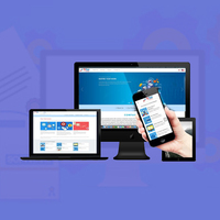 Desarrollo de aplicaciones de Software en la India | Premio de diseño y desarrollo de Software de servicios por Webroot Infosoft