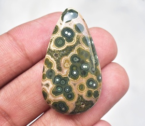 แคสเปอร์หลังเบี้ยโอเชียน - Product Image 1