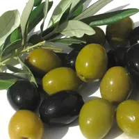 Frais Vert/Noir Olive Meilleur Qualité à Olives Gros/En Tranches et En Peluche Vert et Noir Olives pour vente