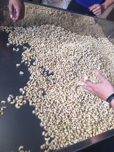 Anacardos secos baratos de especias de hierbas crudas de Vietnam con patrón redondo JAS Kosher certificado por la OMI - Product Image 4