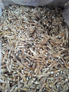 Anchoas secas/anchoas deshidratadas de Vietnam - Product Image 3