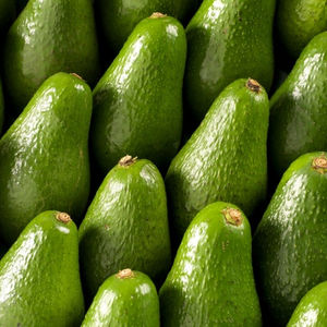 FUERTE AVOCADO Available - Product Image 2