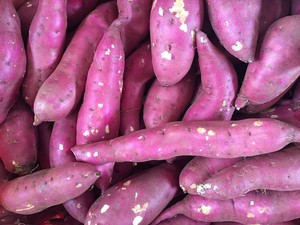 Batata morada congelada IQF premium de Vietnam |   Batata Morada Naturalmente Dulce |   Proveedor de Exportación a Granel - Product Image 5