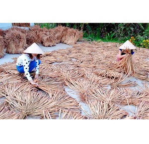 Distributeur de vinaigre d'eau séchée, grande quantité, matériel première pour la fabrication des paniers fabriqué au Vietnam, 99 données en or - Product Image 3