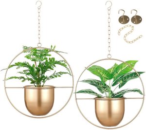Metal Hanging Planters with POT 6" Indoor Planters - Product Image 1