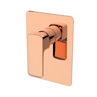 Mitigeur de bain douche chaud froid, carré, en laiton chromé, filigrane, rose eau chaude et froide