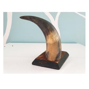 Corne décorative pour taille personnalisée et polie à la main pour la base de la corne pour la couleur naturelle de la corne et la conception de la jante en laiton - Product Image 4