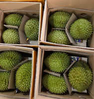 Groothandel Vietnam Verse Monthong Durian Premium Kwaliteit Geel Vlees ISO Gecertificeerd Rechtstreeks Van De Producent