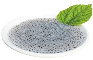 SECO SABJA ORGÁNICO/BEBIDAS ALBAHACA DULCE MEJOR PRECIO DE VIETNAM / Shyn Tran - Product Image 3