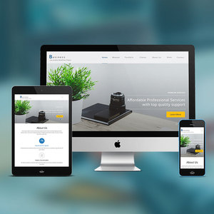 Top One Page Websites Design and Development Company in India | Award Winning Website design and Development Services by Websoot - Product Image 2