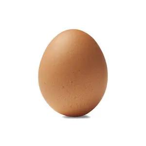 新鲜棕色健康餐桌鸡蛋出售/购买50克新鲜棕色餐桌鸡蛋纸箱/每盘30个鸡蛋360个鸡蛋