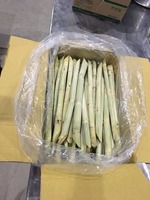 Direct Field Fresh Frozen Whole Shell Raw Sugarcane Juice Premium Vietnam Agriculture GIMEX VIETNAM 3 Year Shelf Life Carton