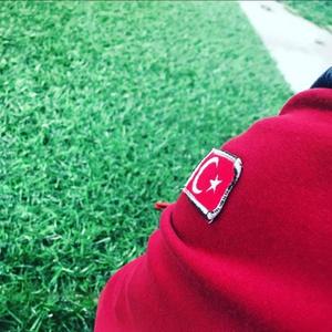 Paneles de valla de césped artificial europeo, fabricante para muros y usos de privacidad al aire libre con protección UV - Product Image 4