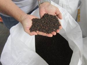 Certifié Casher Jas Jas 50kg 500-580GL Vietnamien Séché Poivre Noir Herbe Épicé Entier Cru Ad Séchage Épices Simples Herbes - Product Image 4