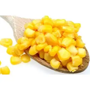 Hersteller von Zucker mais in Dosen Easy Open guter Geschmack Sweet Kernel Corn in Can für den Export preis