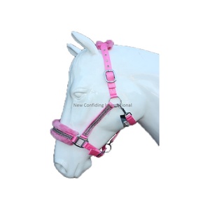 Licou doux à tête d'équitation en cristal, rembourré, en molleton, ajustable, col, licou, équipement cheval, am601 - Product Image 1