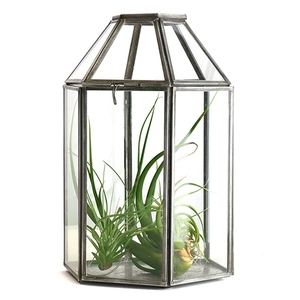 Terrario Moderno de Vidrio, Forma Pentagonal, Contenedor para Plantas de Interior, Diseño Minimalista de Escritorio, Marco de Vidrio Transparente - Product Image 1
