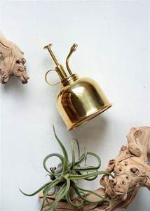 Master de plantes antiques Vintage, vente en gros, pour le jardin et la maison - Product Image 3