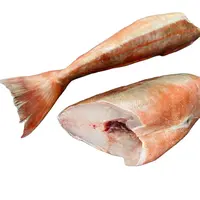Dijual Ikan Gurnard Kualitas Premium