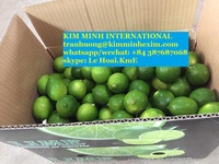 Export van zaadloze limoenen, verse kwaliteit A, ISO-gecertificeerd, Vietnam oorsprong, KME merk, 3cm formaat, tegen een prijs van…