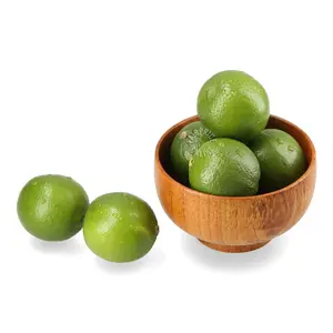 100% fresco naturale di alta qualità il prezzo più basso qualità Premium verde senza semi di Lime ricca di tasse gratuite dal Vietnam