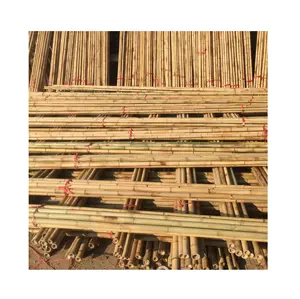 Barra de bambu para plantas feitas no Vietnã, cana de bambu ecológica, 99GD/bastões de bambu, fornecedor principal com 20 anos de experiência