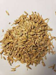 Aliments pour animaux séchés, grains d'avoine - Product Image 5