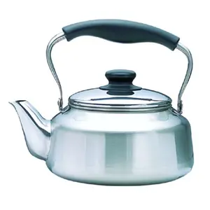 Stainless Steel Tea Kettle